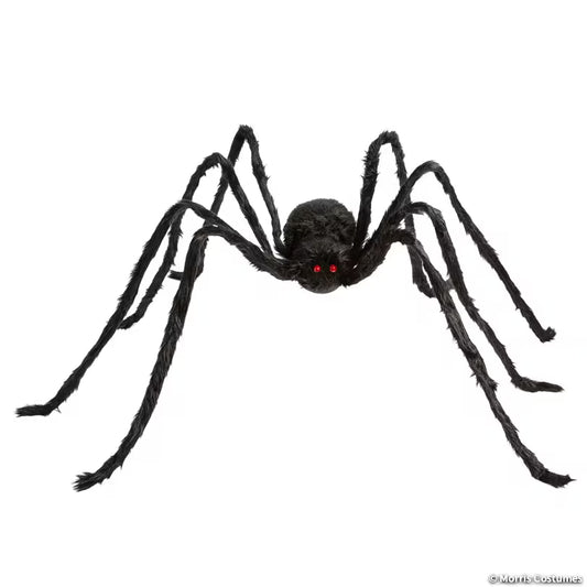 BLACK SPIDER