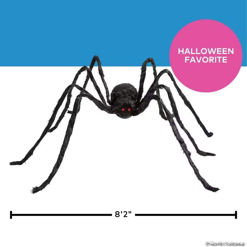 BLACK SPIDER