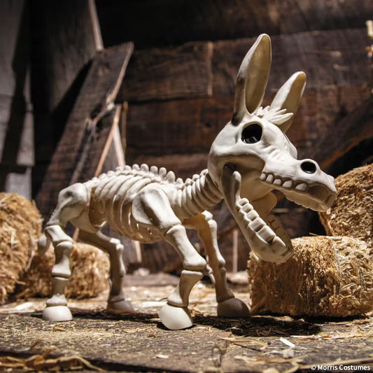 DONKEY SKELETON