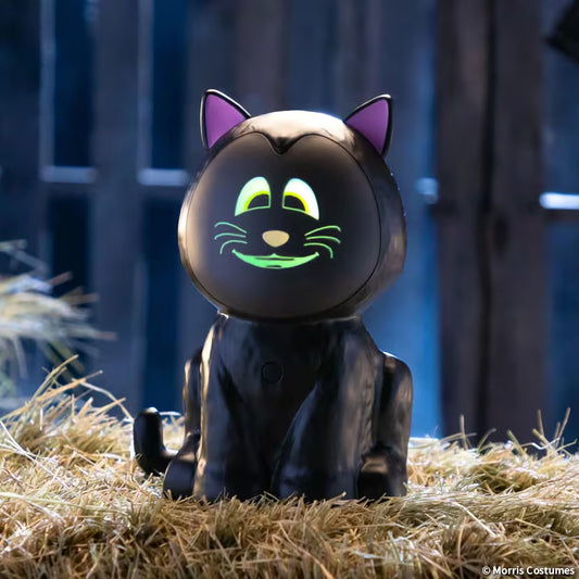 Eek The Animat3d Black Cat