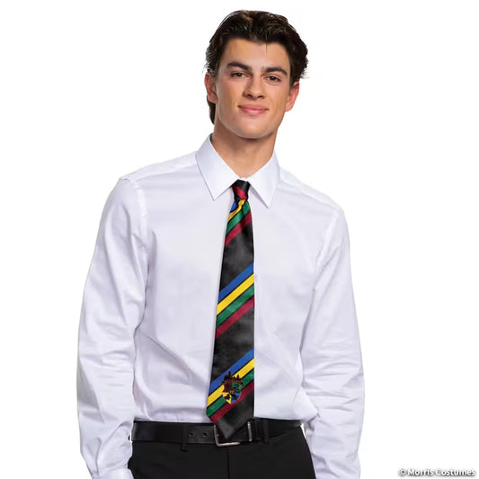 Hogwarts All House Tie