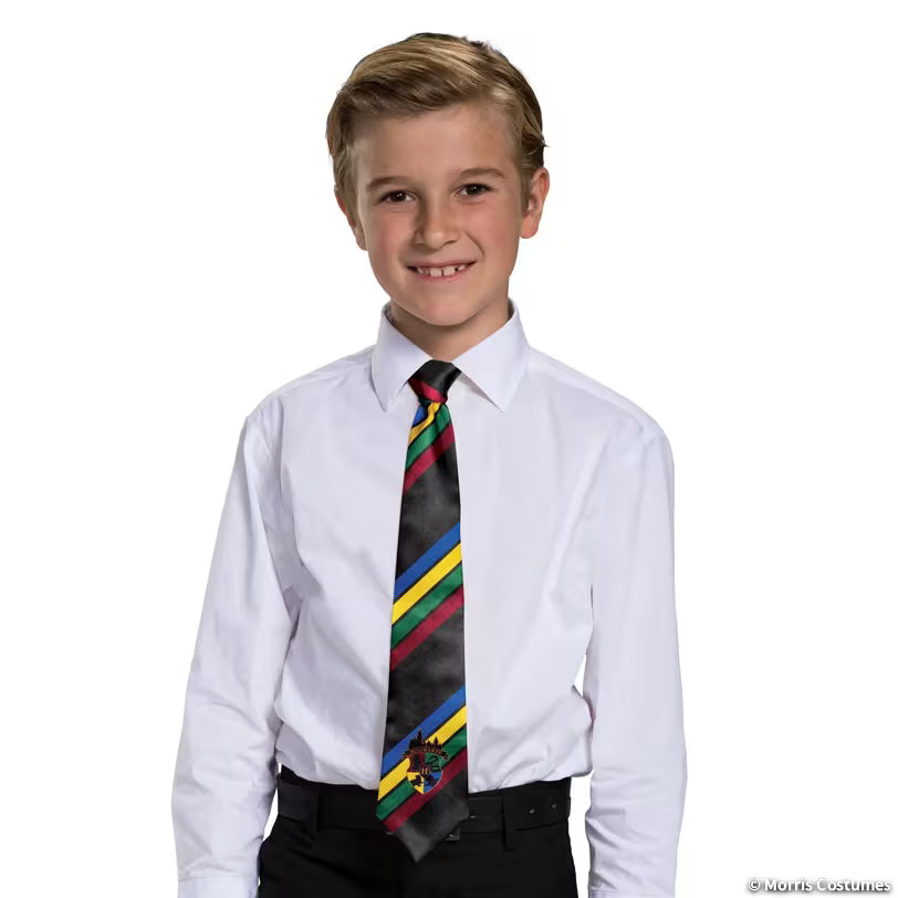 Hogwarts All House Tie