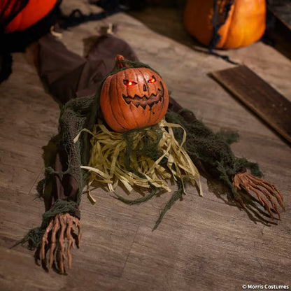 3 Ft Crawling Pumpkin Man