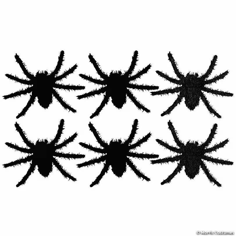 Black Hairy Spiders