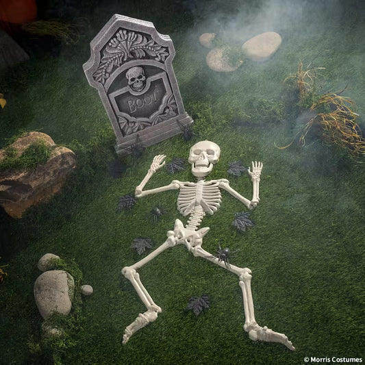 COFFIN WITH SKELETON BONES SET (14PCS)