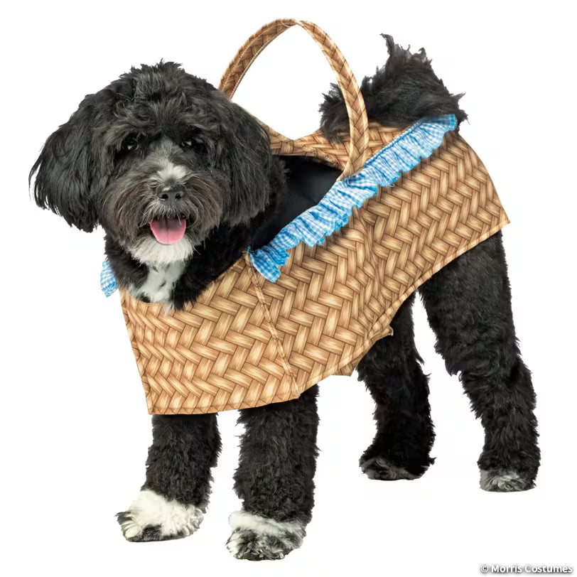 Dog Basket Pet Costume