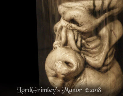 Cthulhu Embryo Jar - PROP