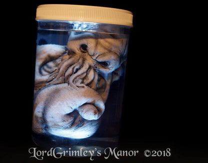 Cthulhu Embryo Jar - PROP