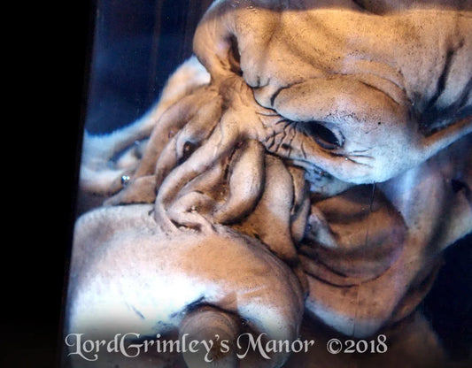 Cthulhu Embryo Jar - PROP