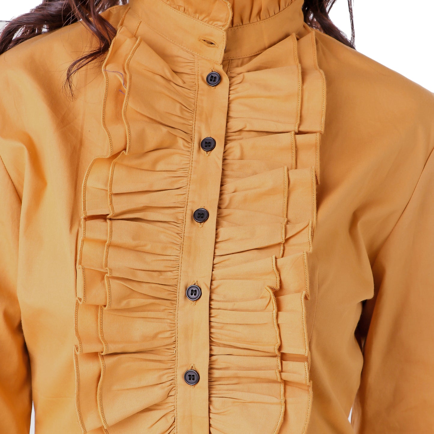 Zylphia Stand-up Collar Blouse