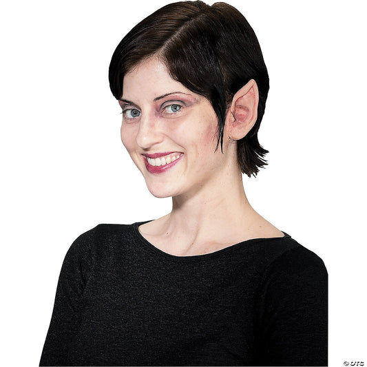 PM778161