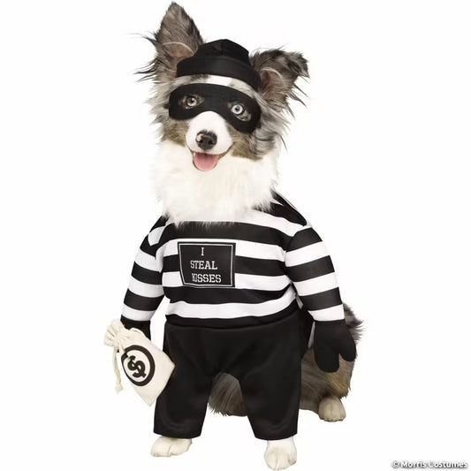 Robber Pup Pet Costume