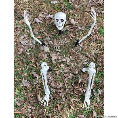 SKELETON GROUNDBREAKER