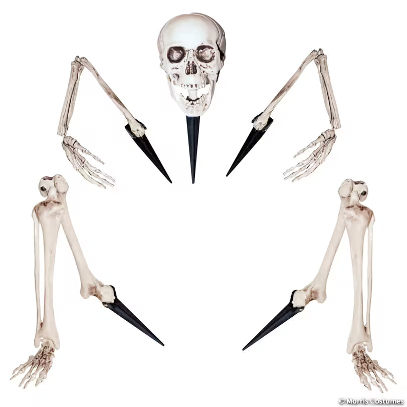 SKELETON GROUNDBREAKER