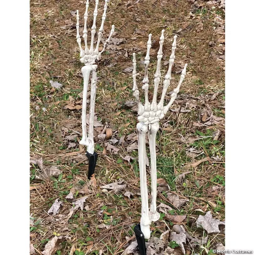 SKELETON GROUNDBREAKER