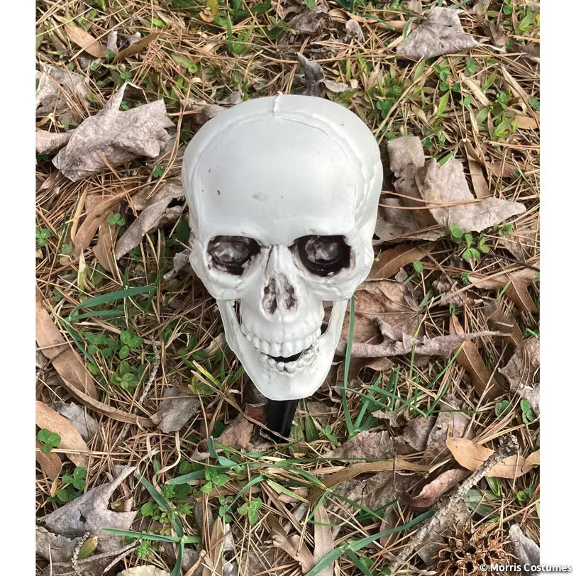 SKELETON GROUNDBREAKER