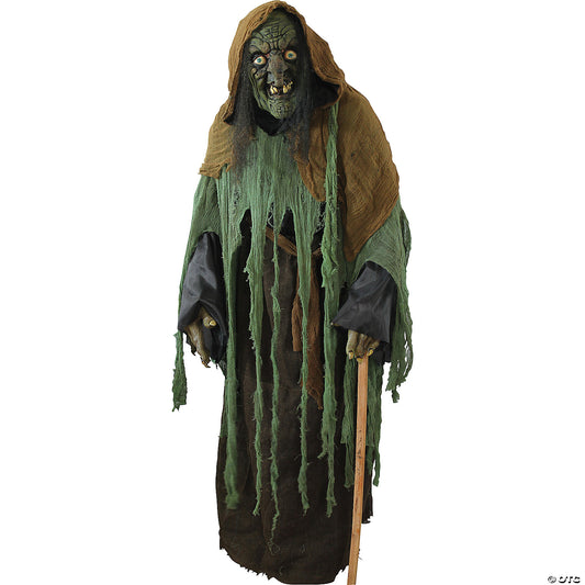 WITCH /GHOUL COSTUME ADULT