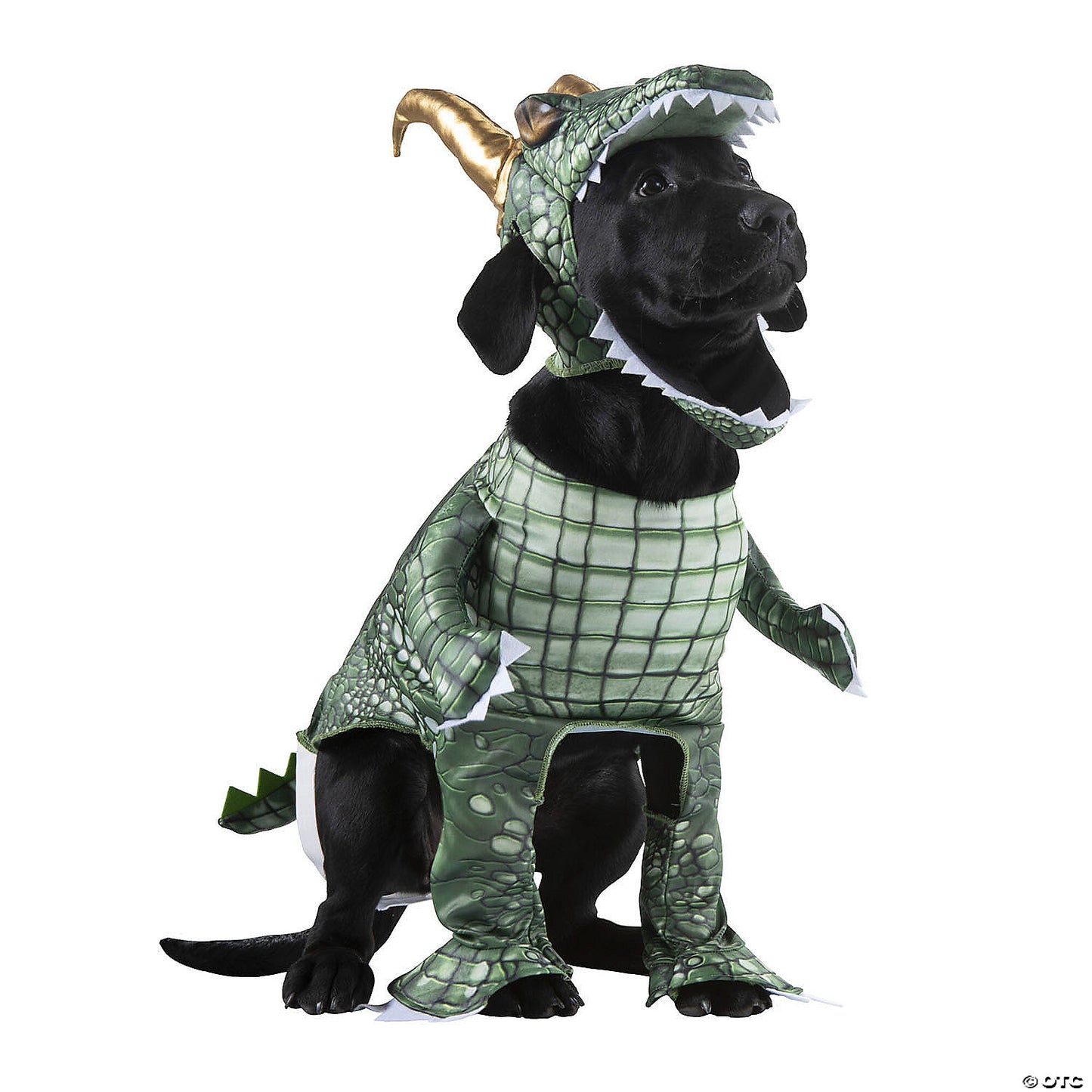 PET ALLIGATOR LOKI COST LG