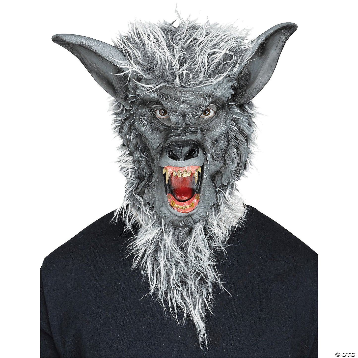 ANIMAL MASKS