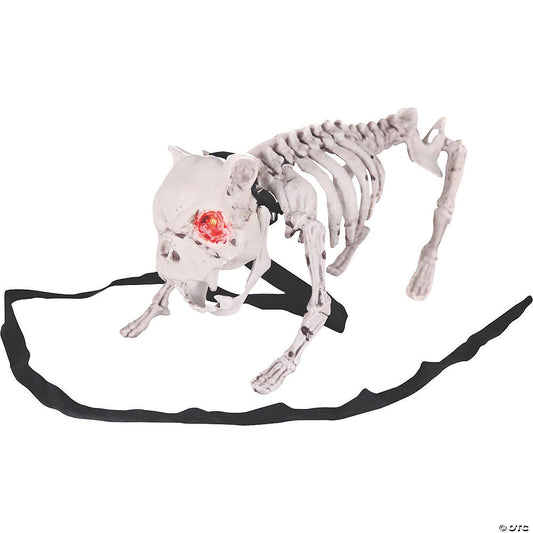 BARKING DOG SKELETON