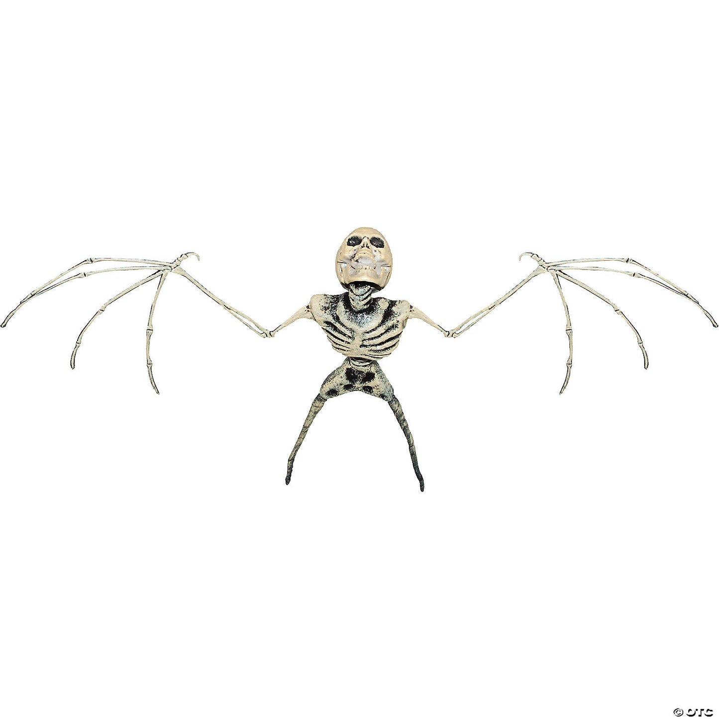 BAT SKELETON