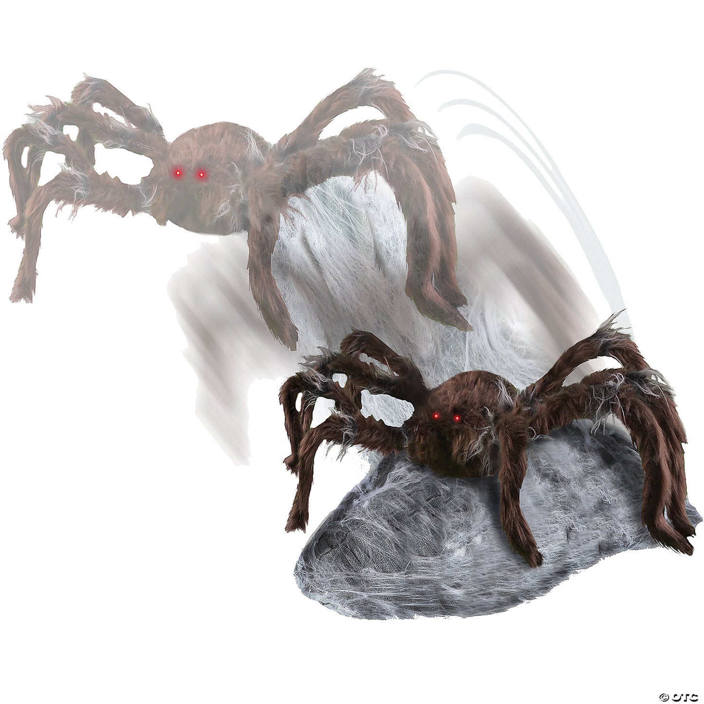 BROWN JUMPING SPIDER