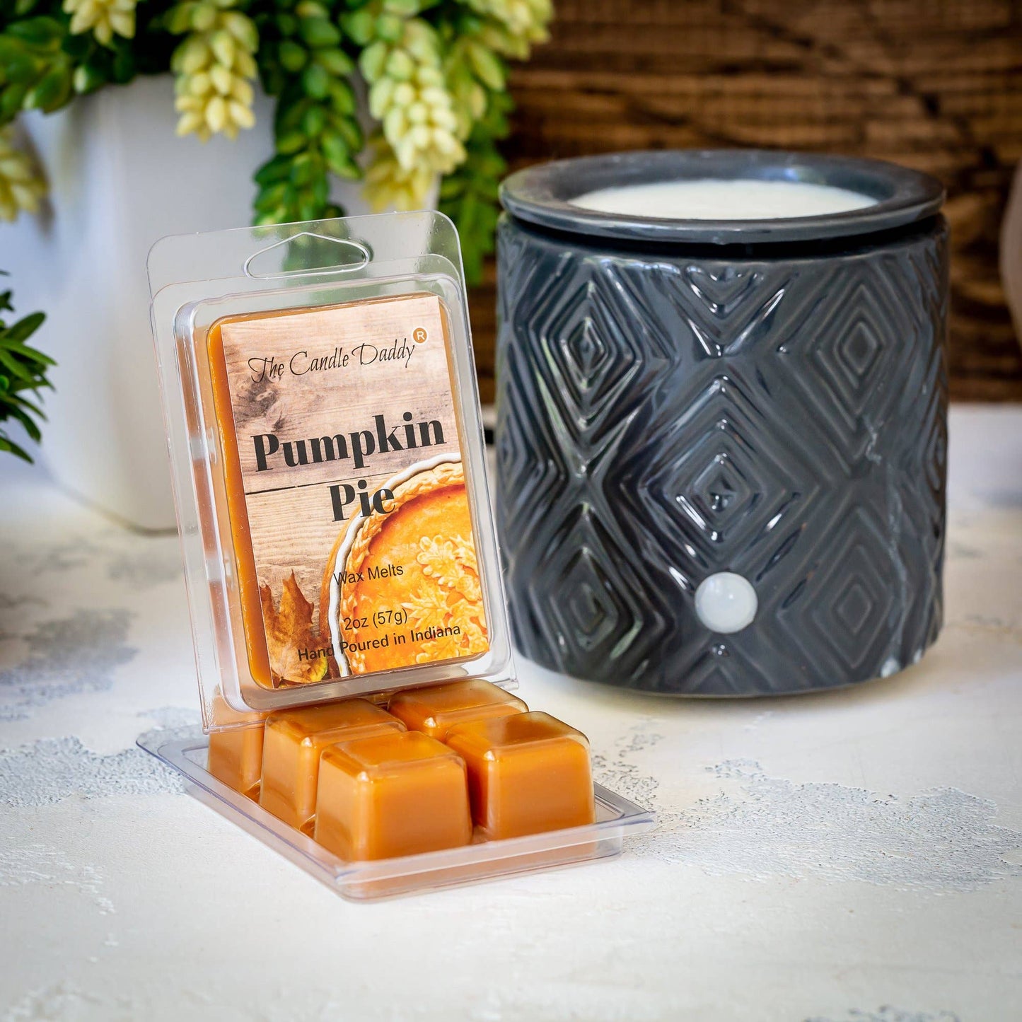 The Candle Daddy - Pumpkin Pie Scented Wax Melt Cubes - 2 Ounces - 1 Pack