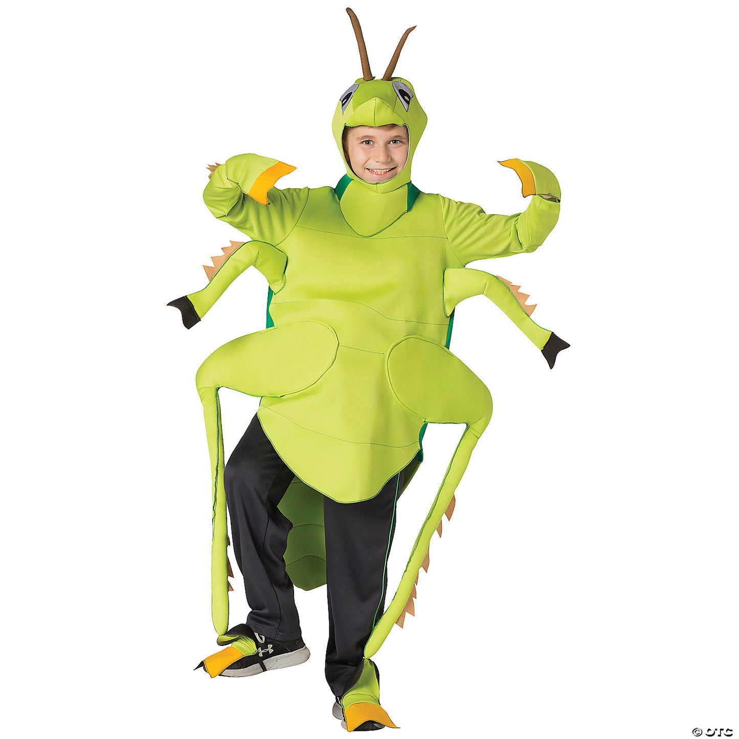 CHILD'S GRASSHOPPER COSTUME