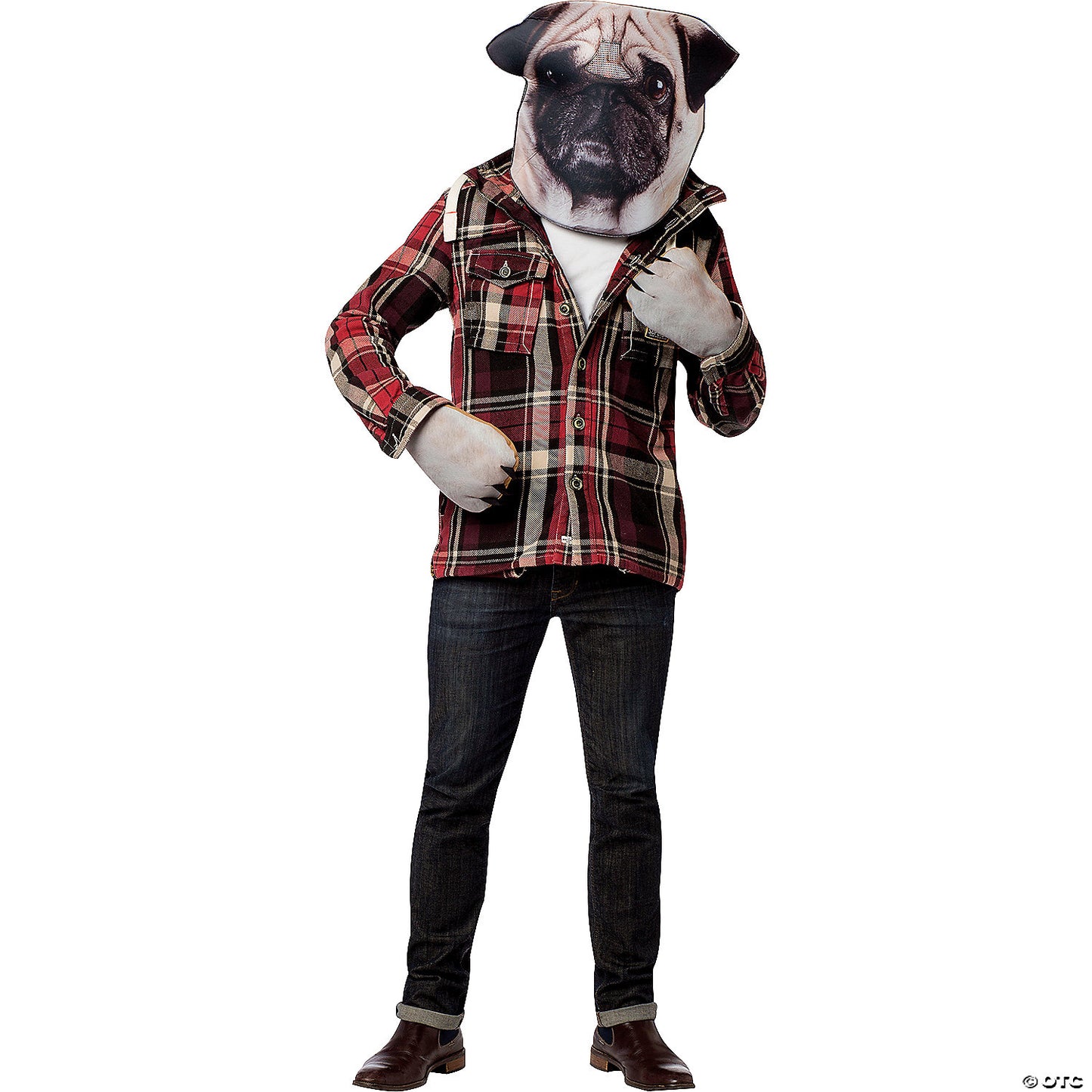 DOG COSTUME KIT GC5034