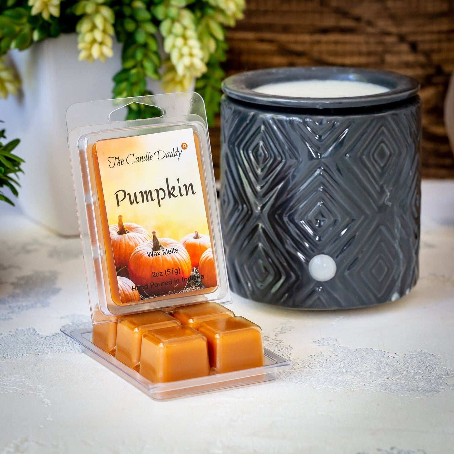 The Candle Daddy - Pumpkin Scented Wax Melt Cubes - 2 Ounces - 1 Pack