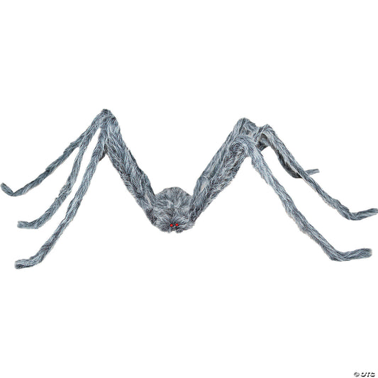 GIANT GRAY SPIDER