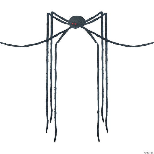 SPIDER BLACK LONG LEGS