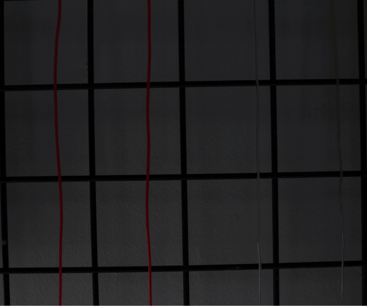 6' Neon String Light - Battery Operated