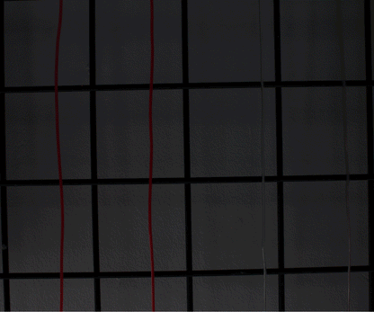 6' Neon String Light - Battery Operated