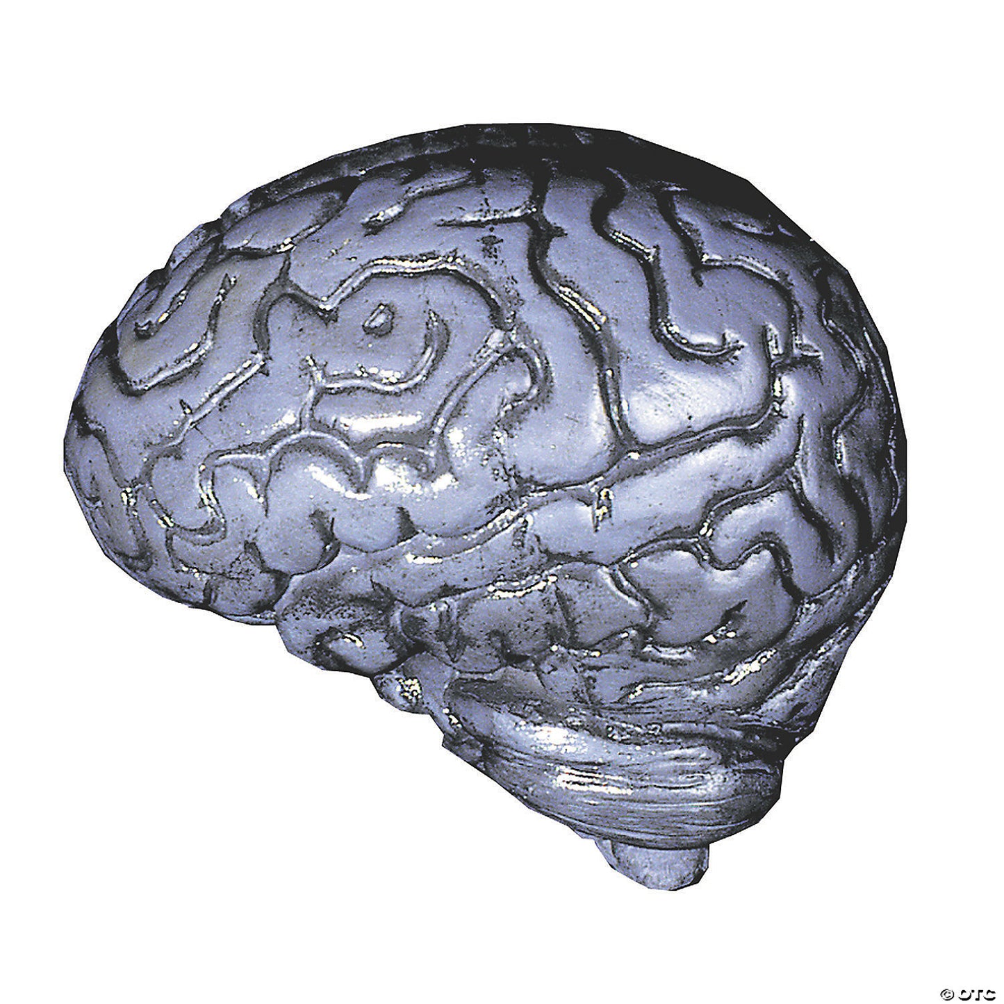 BRAIN-HUMAN GREY