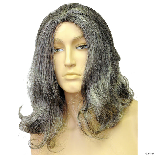 BIBLICAL DELUXE WIG M BN GY 44