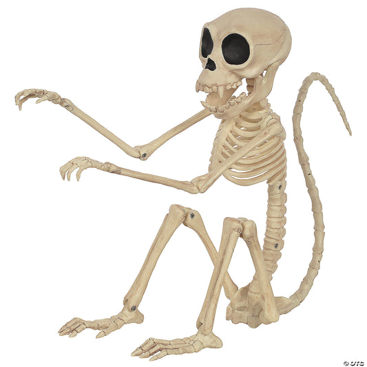 SKELETON MONKEY