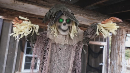 43 1/4" x 70 3/4" Light-Up Hanging Skeleton Scarecrow