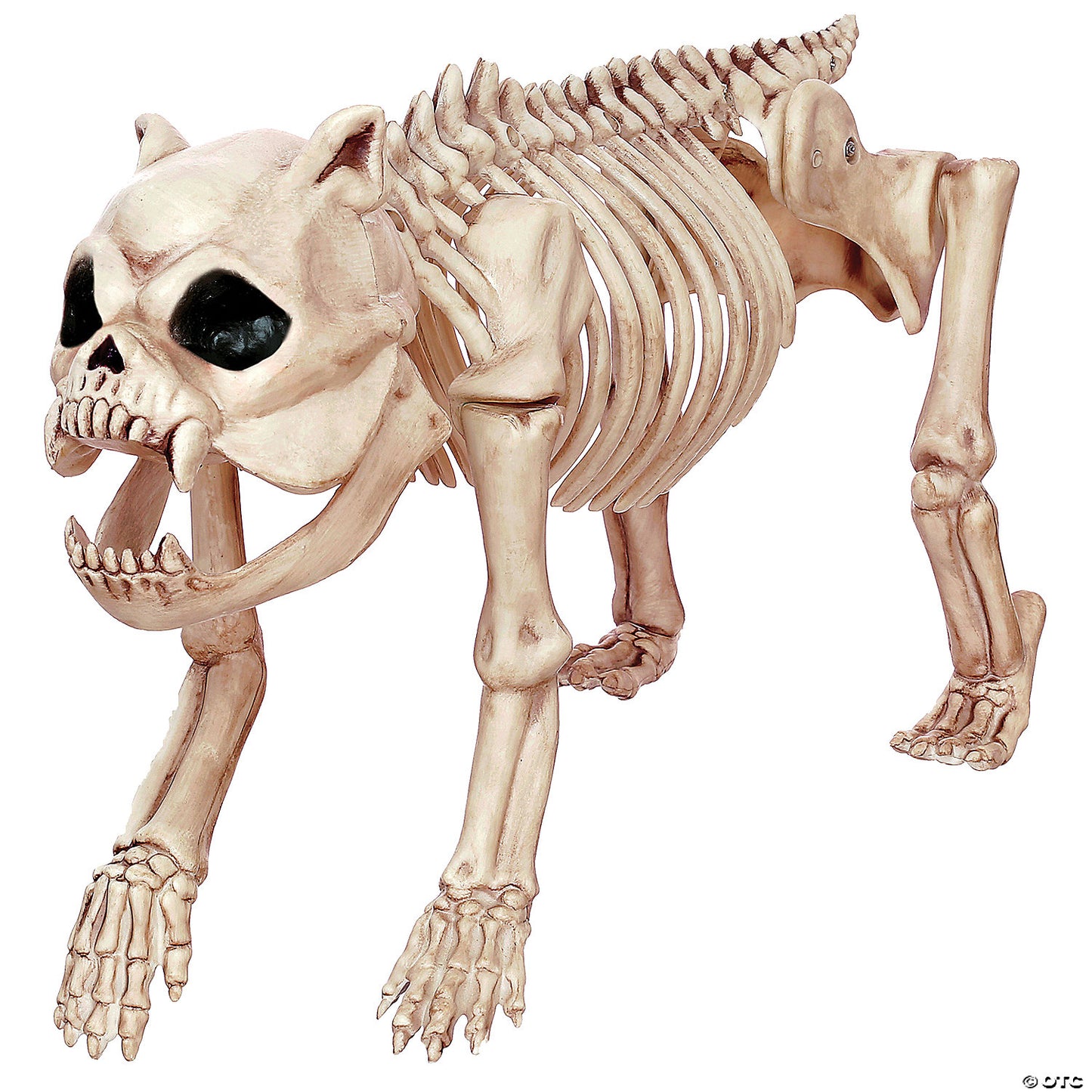SKELETON BONES THE DOG PROP