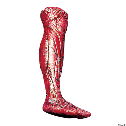 SKINNED RIGHT LEG