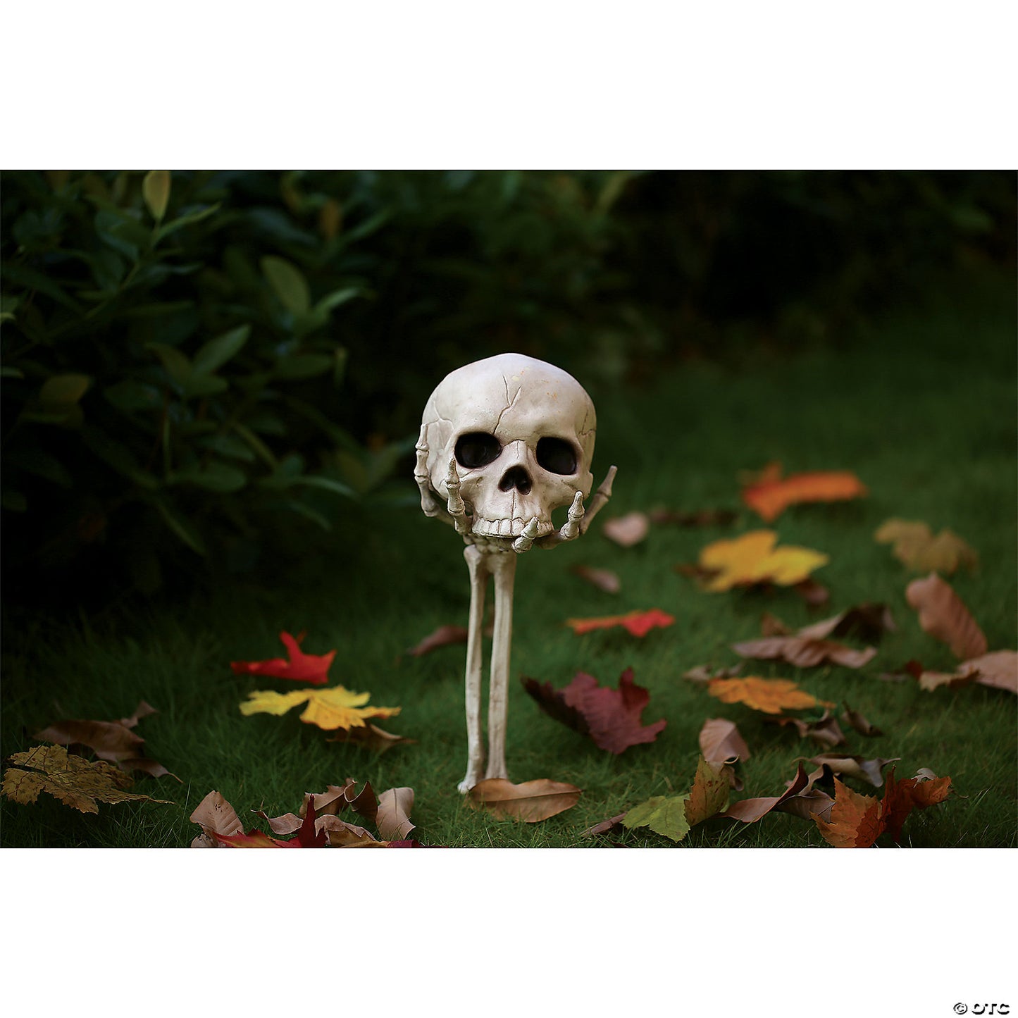 SKULL IN HAND GROUND BREAKER