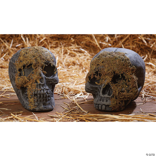 SKULL MOSS COVERED NO JAW