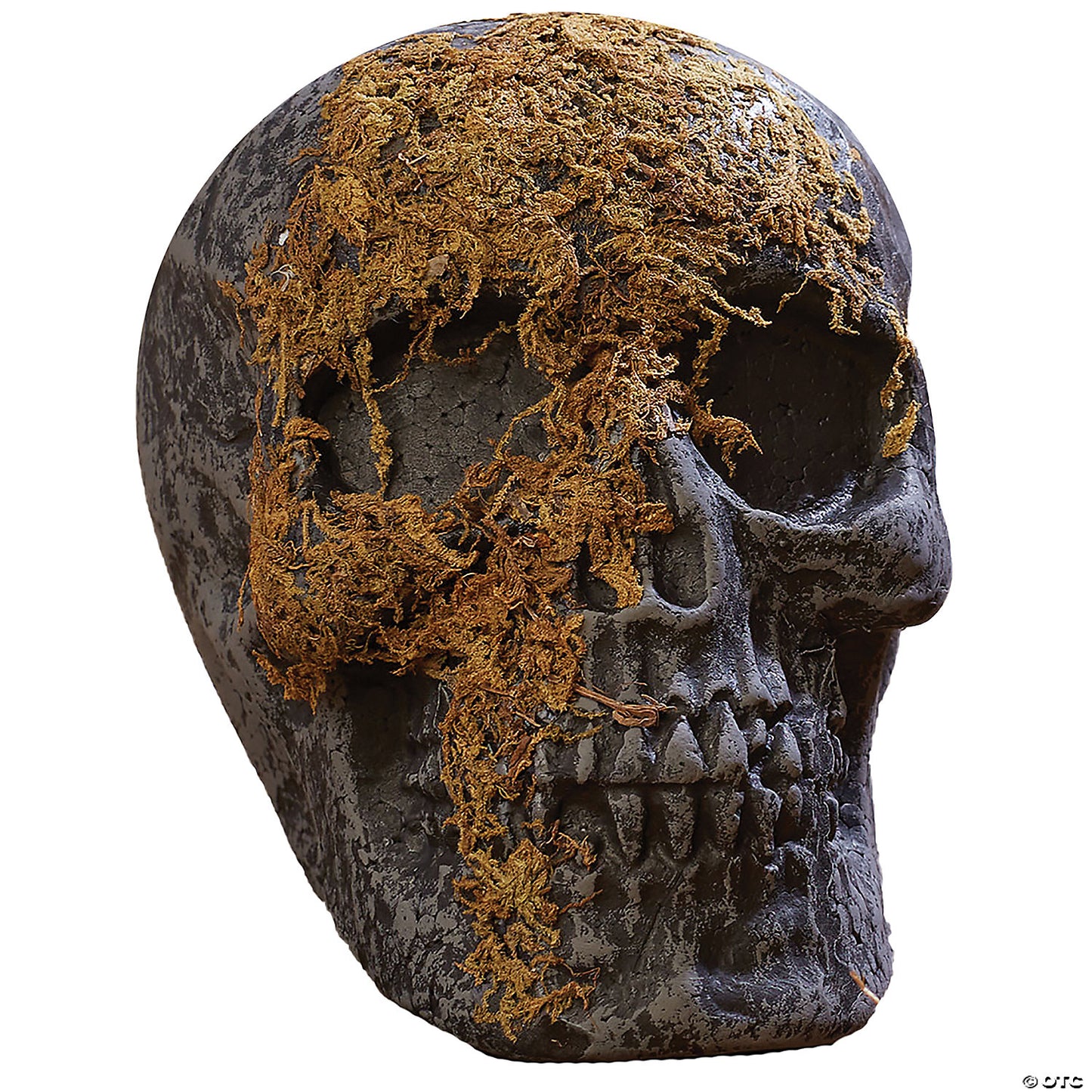 SKULL MOSS COVERED WITH JAW
