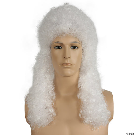 SPECIAL BARGAIN JUDGE WIG