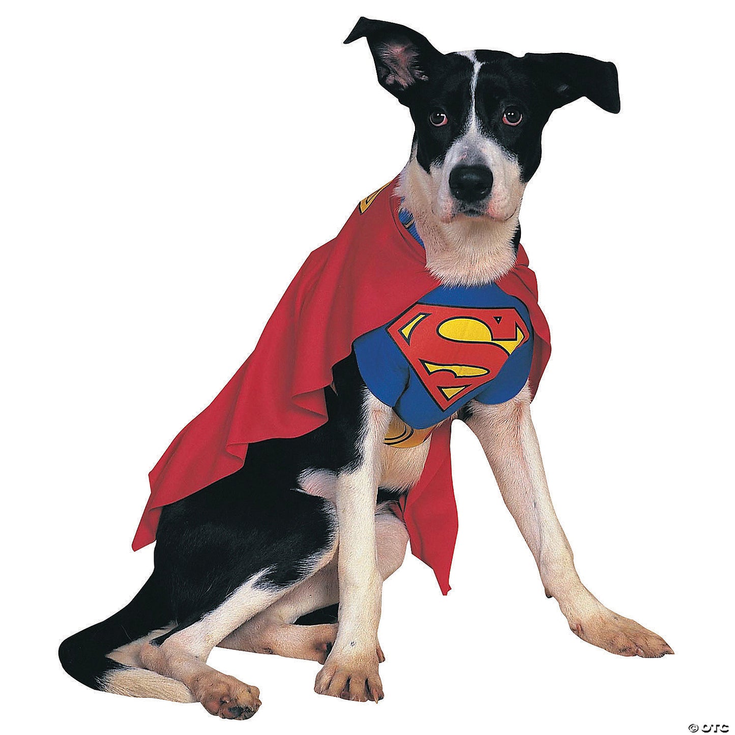 SUPERMAN PET COSTUME MEDIUM