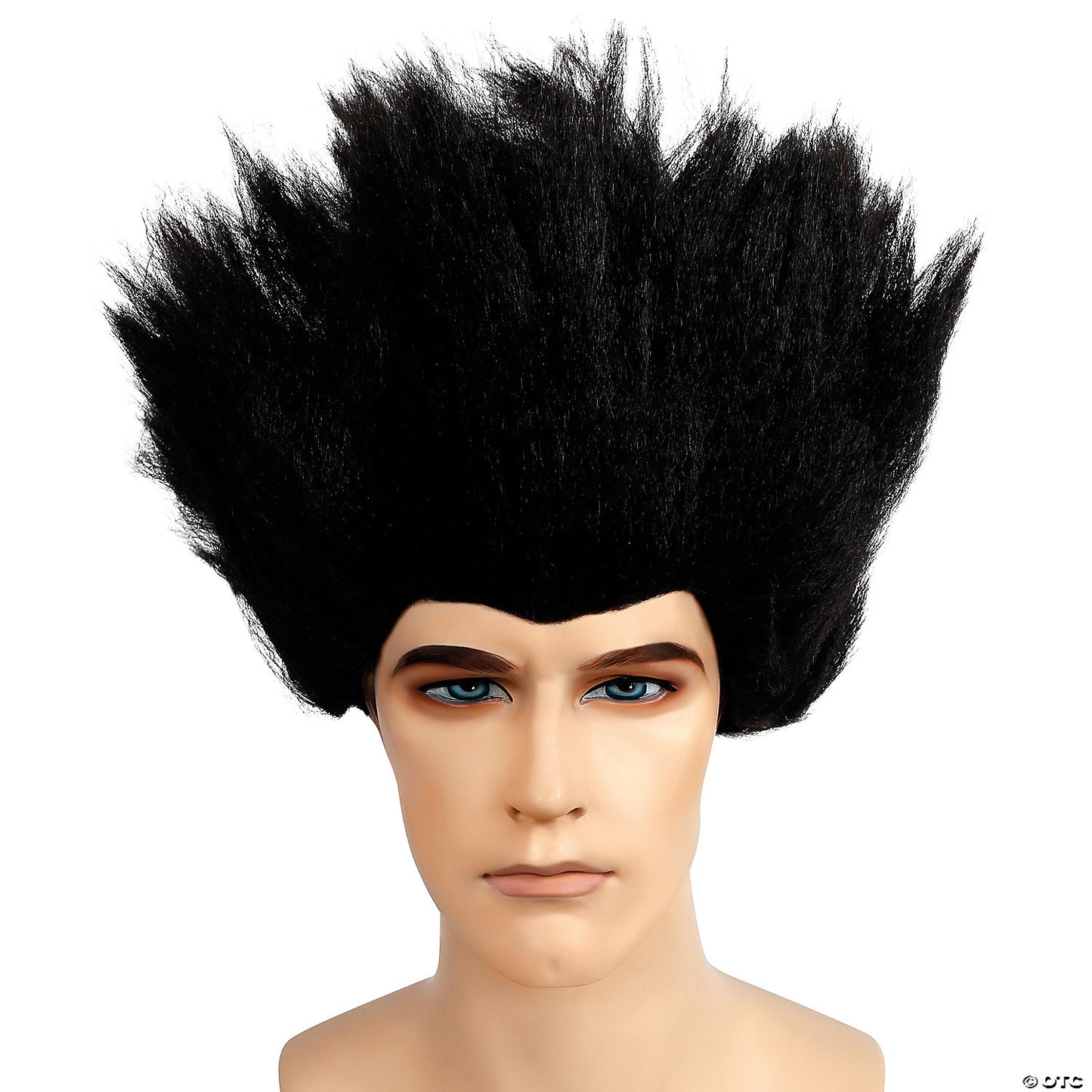 TRADITIONAL FRIGHT WIG
