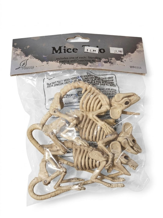 Mice Trio Skeleton Prop Set 🐭🦴