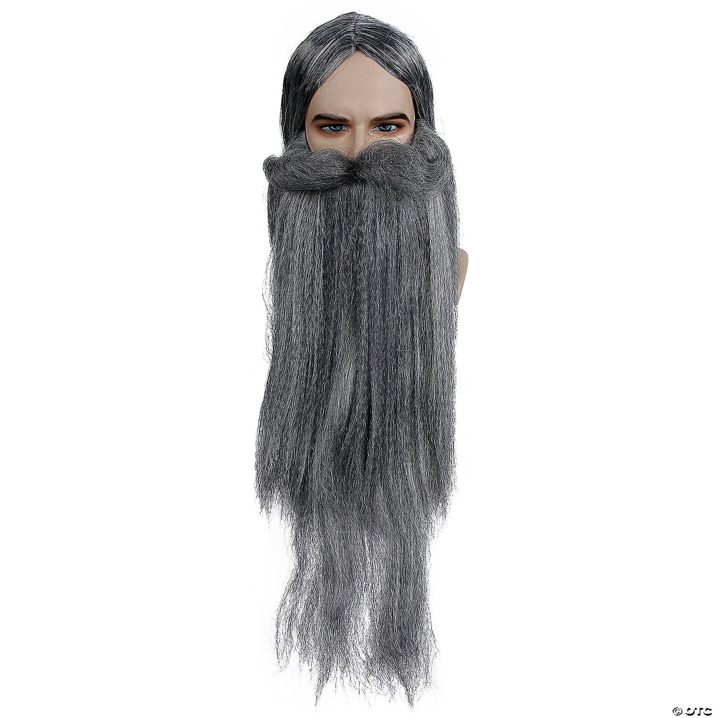 WIZARD WIG AND BEARD SET GY