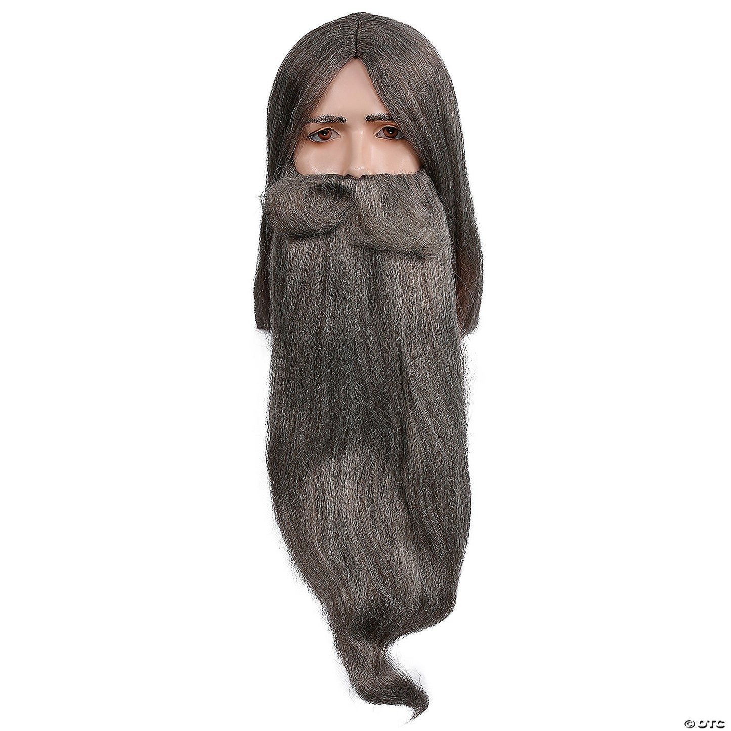WIZARD WIG AND BEARD SET LGY