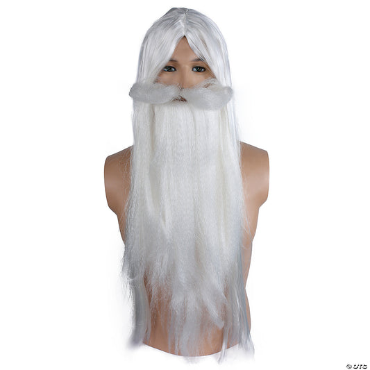 WIZARD WIG AND BEARD SET WT